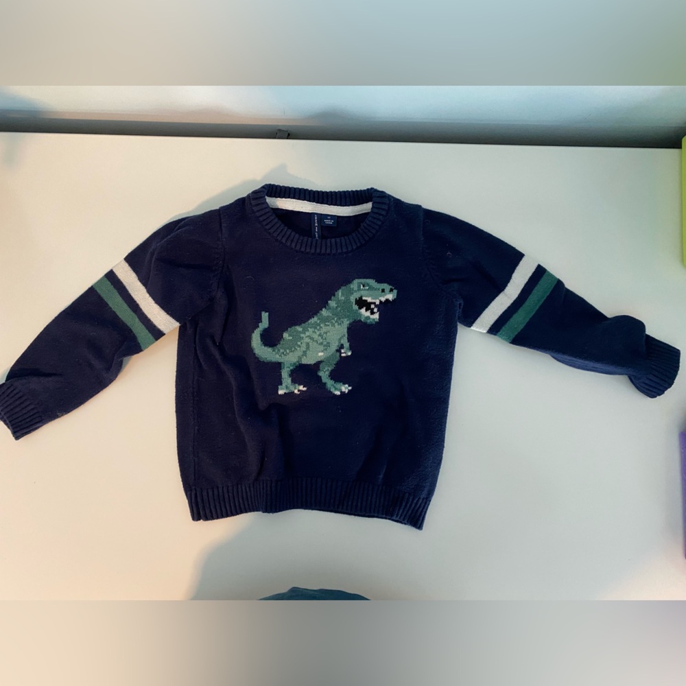 Janie and Jack Wool Sweater DINO !
